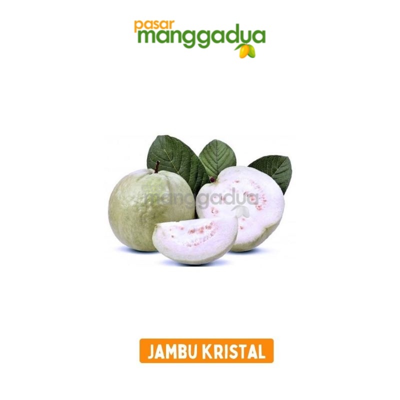 

FRESH !!! Jambu Kristal Per Kg / Buah Segar