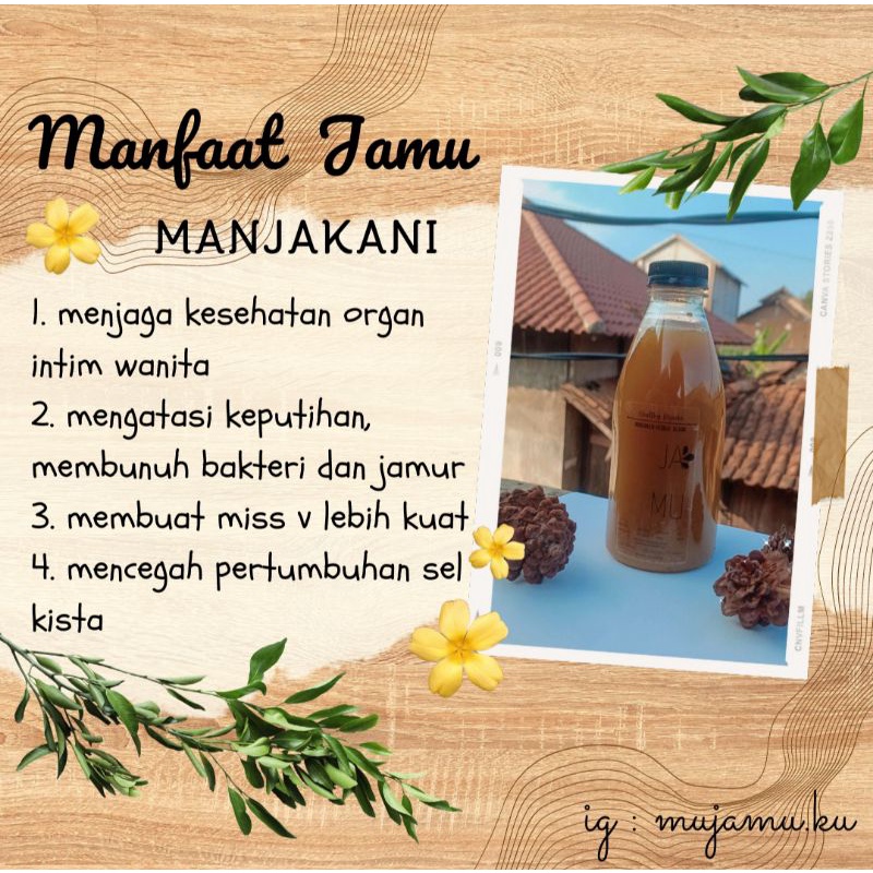 

minuman jamu tradisional jamu herbal manjakani