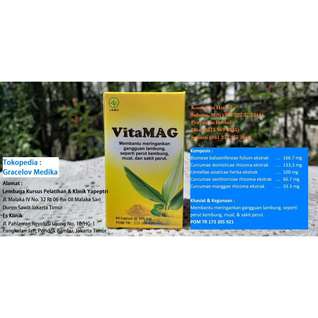 

herbal vitamaag untuk penyakit maag