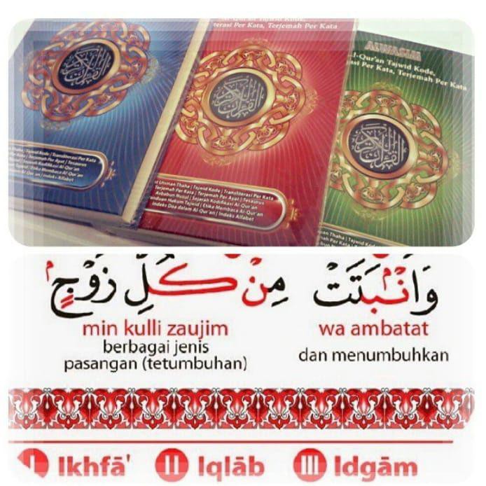 Al Quran Al Wasim A5 SEDANG dan A4 BESAR Original Alquran dan Terjemahan Tajwid Kode Cocok untuk Pemula