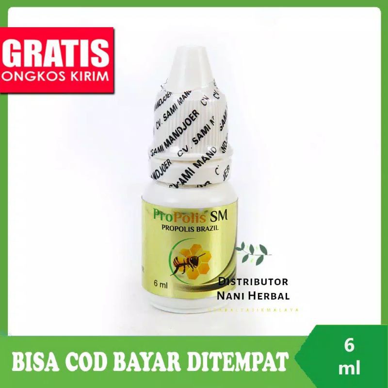 PROPOLIS SM , PROPOLIS BRAZIL , WALATRA PROPOLIS ASLI OBAT TETES