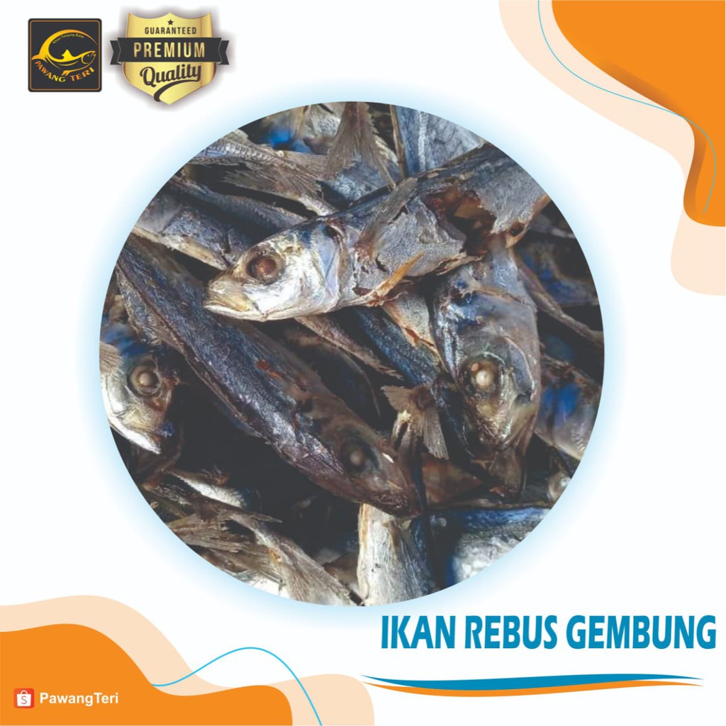 

Ikan Rebus Gembung