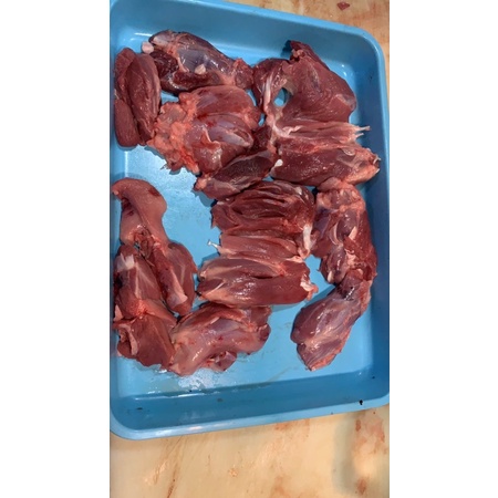 

SENGKEL BABI / CU CANG NYUK FRESH