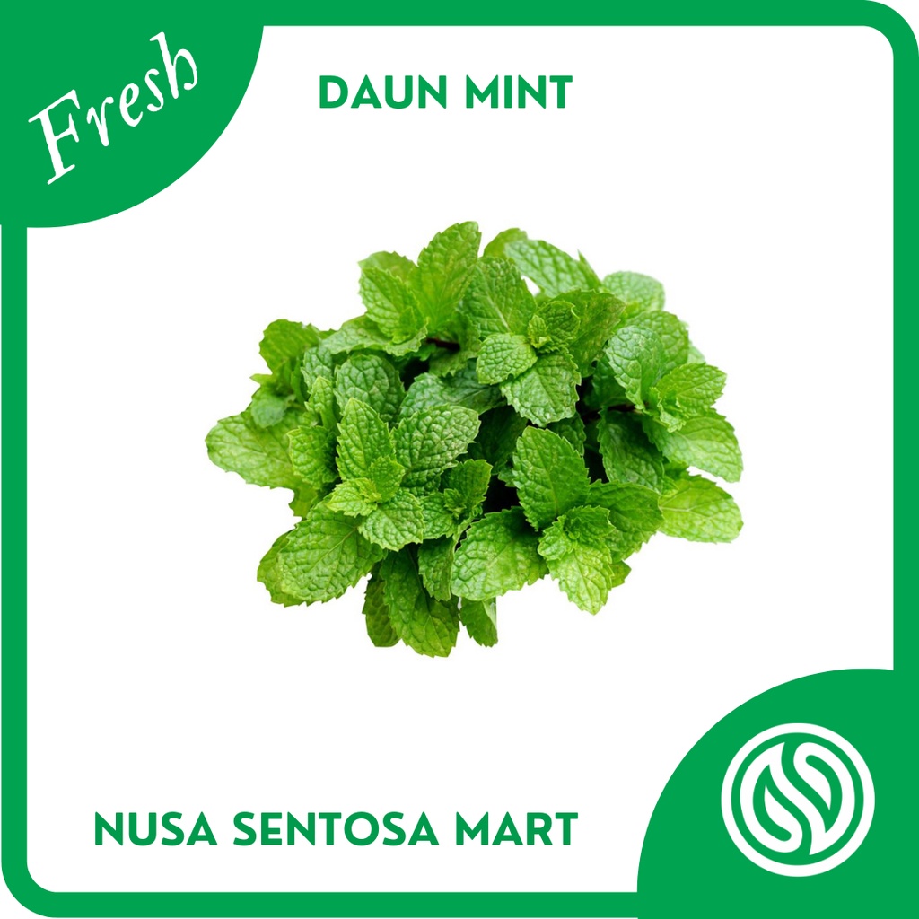 

Daun Mint Segar – 100g
