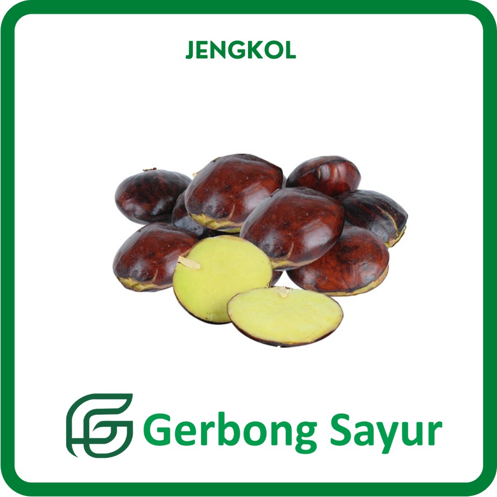 

Jengkol Segar - 250g