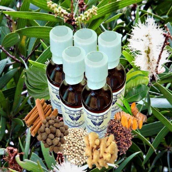 :=:=:=:=] Minyak Tawon Cap Kupu-Kupu (175 ml)