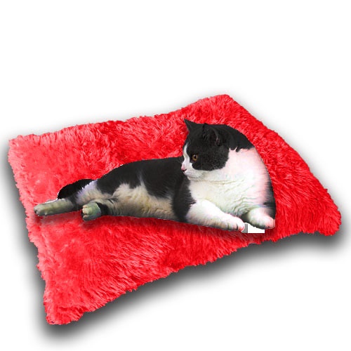 Bantal kucing Murah Lembut/Kasur Kucing/Alas Tidur Kucing Premium/Tempat Kucing Dan Anjing/Ranjang Kucing Dan Anjing/Cat bed/Kasur Kucing Murah/Tempat Tidur Kucing 1 Set/Rumah Kucing/Kandang Kucing/Perlengkapan Kucing Dan hewan-Merah