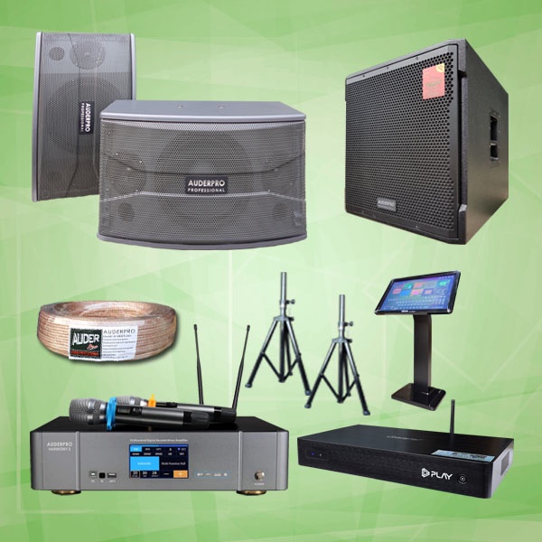 PAKET KARAOKE DIGITAL SOUND SYSTEM AUDIO KELAS PREMIUM D6: MIXER + SPEAKER AUDERPRO 10 INCH + SUBWOO