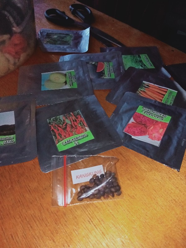 Biji Buah Naga Merah