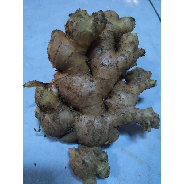 

JAHE SEGAR MURAH 1kg