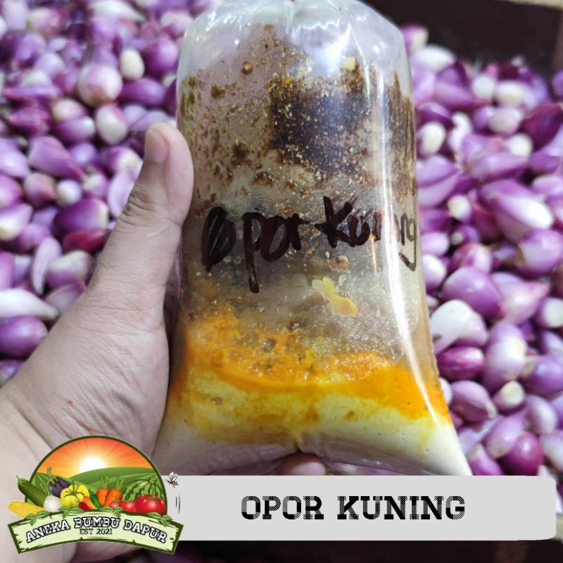 

bumbu opor kuning