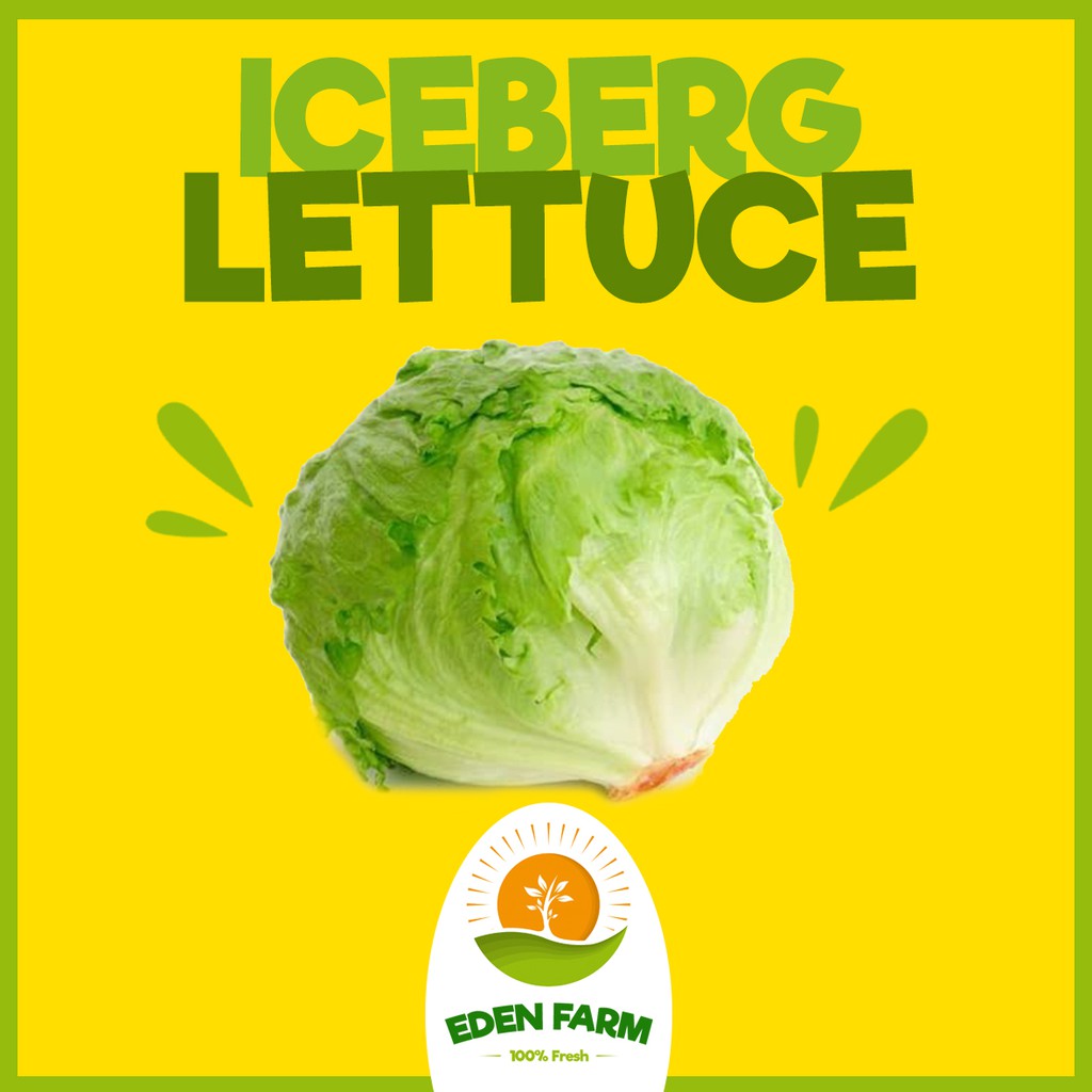 

PROMO ICEBERG LETTUCE - SAYUR BUAH MURAH 100% FRESH