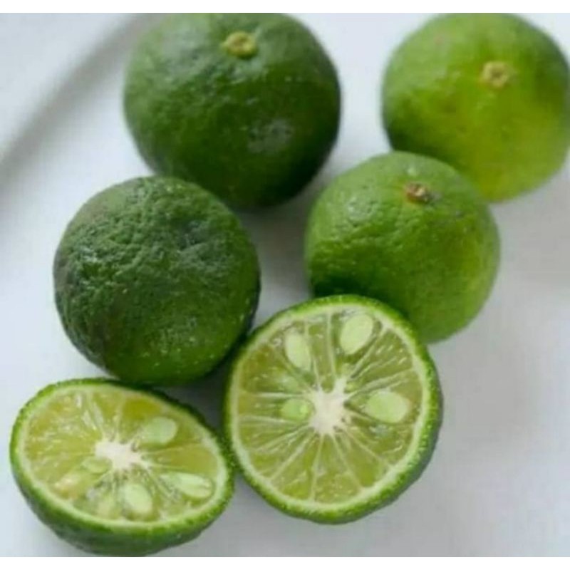 

Jeruk Limo 1 Kg Fresh.