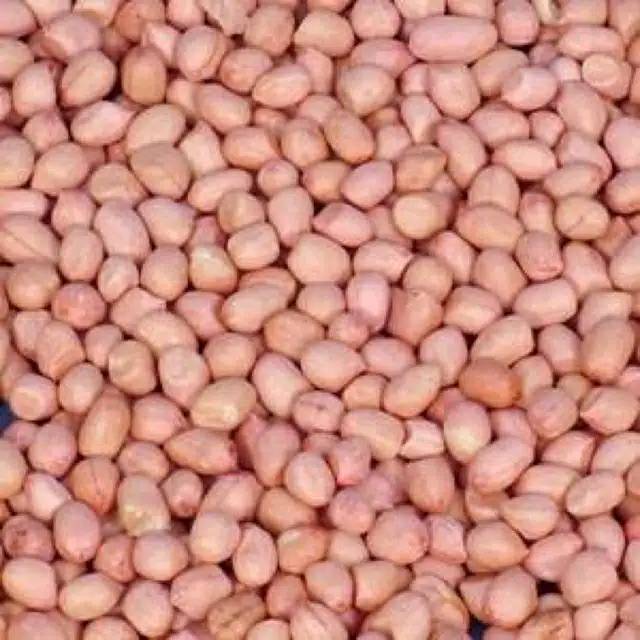 

Kacang tanah kiloan