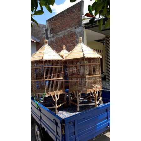 Sangkar Burung Beo,Ayam,Kakatua,Muray