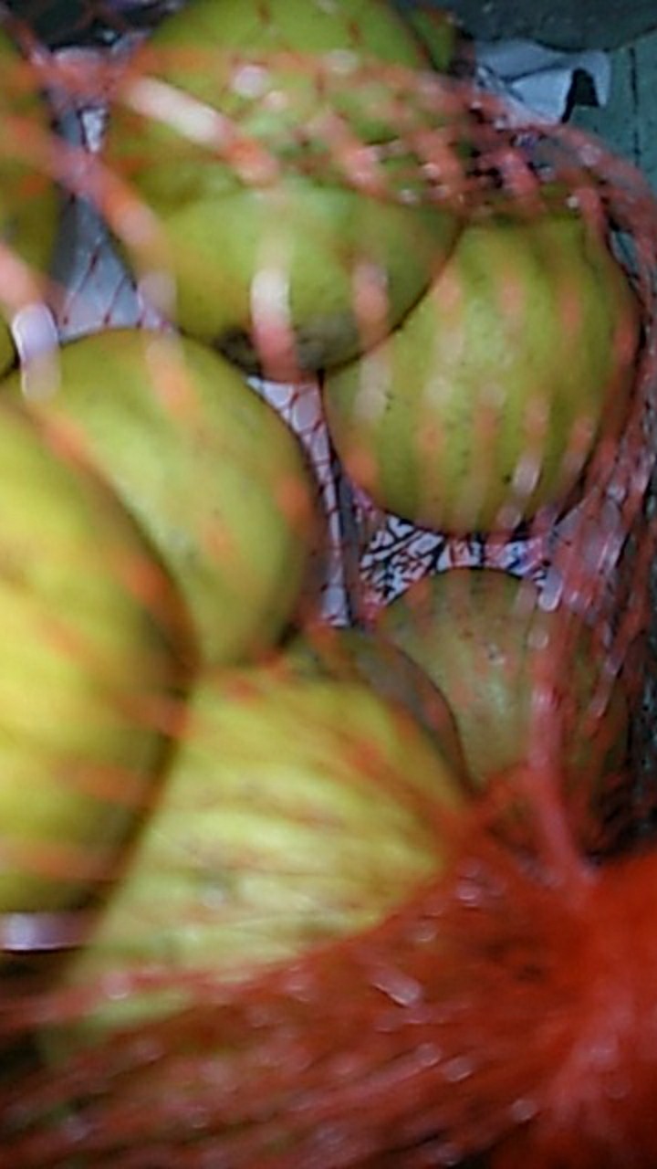 Jeruk Lemon Lokal 1kg