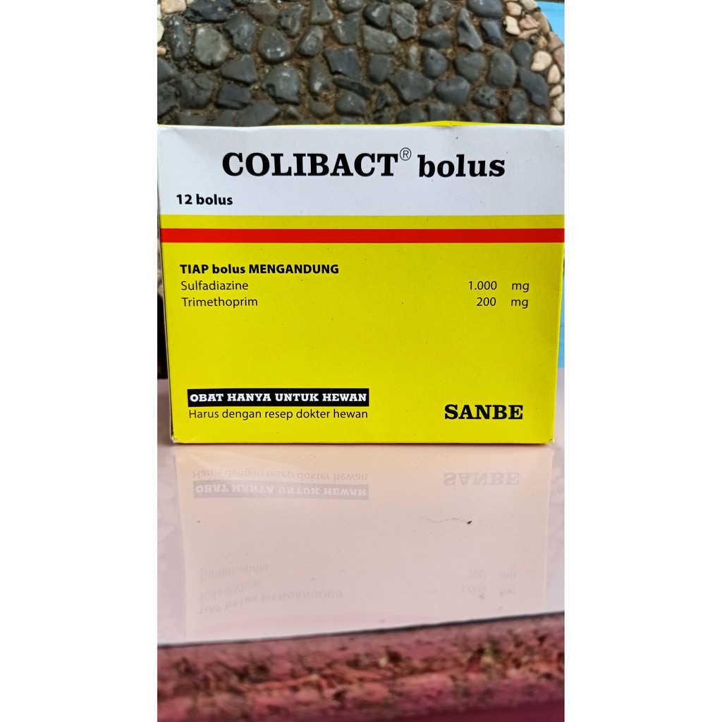 Colibact Bolus harga per bolus