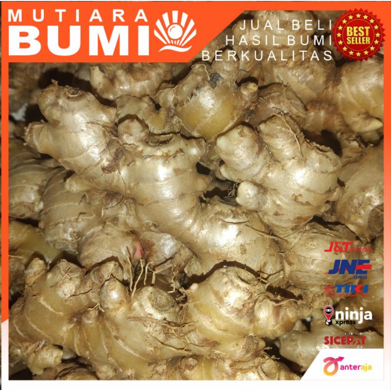 

jahe emprit segar 1kg