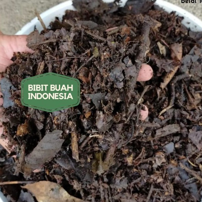 humus hutan 500gr media tanam terbaik