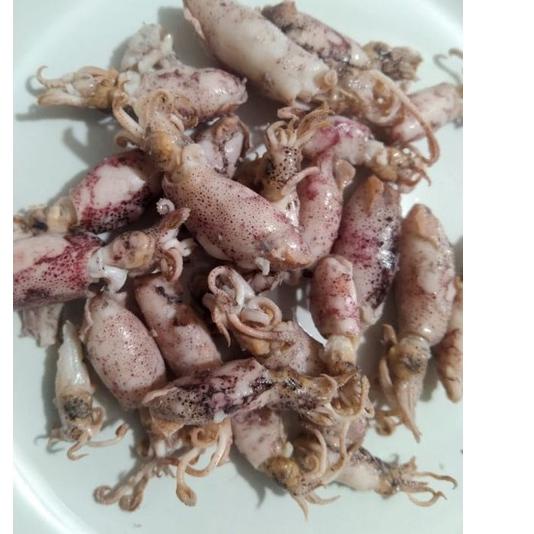 

Cumi asin baby 500gr/cumi asin rebus !!