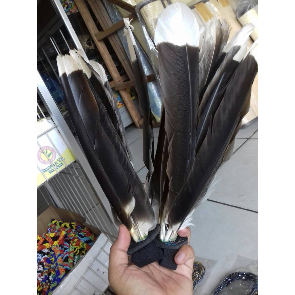 Paket Bulu Sayap Enggang Khas Dayak Shopee Indonesia