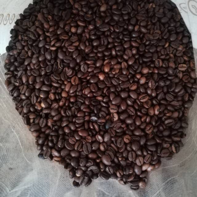 

Biji kopi robusta dampit