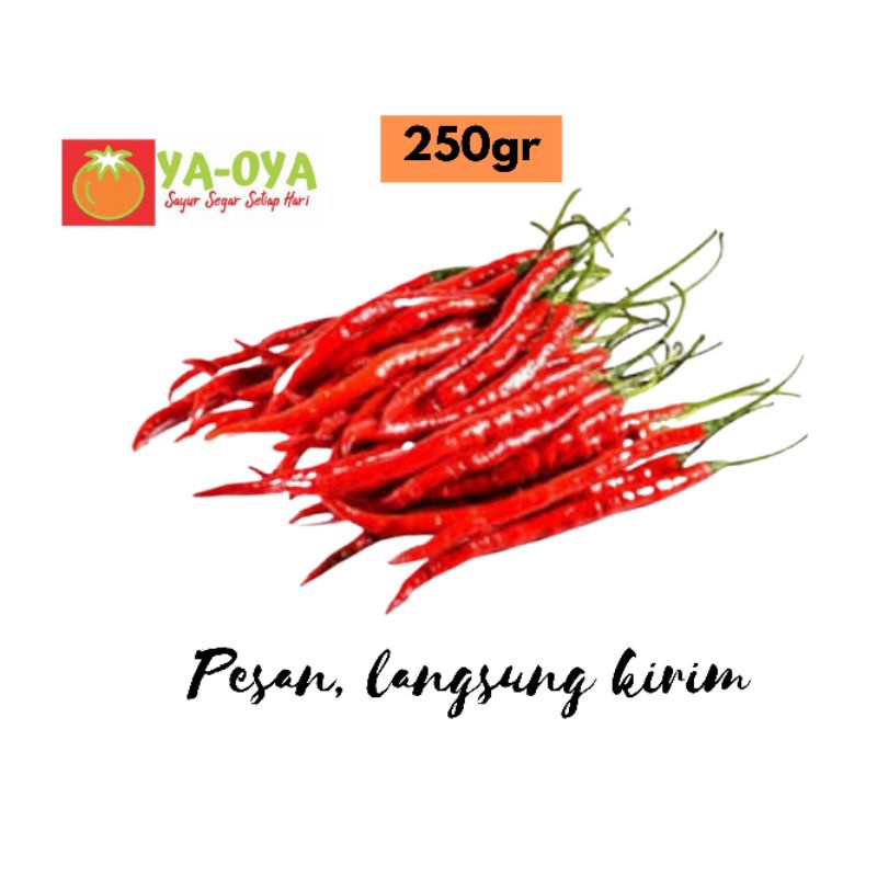 

CABAI MERAH KERITING 250gr-SAYUR SEGAR-INSTAN DELIVERY