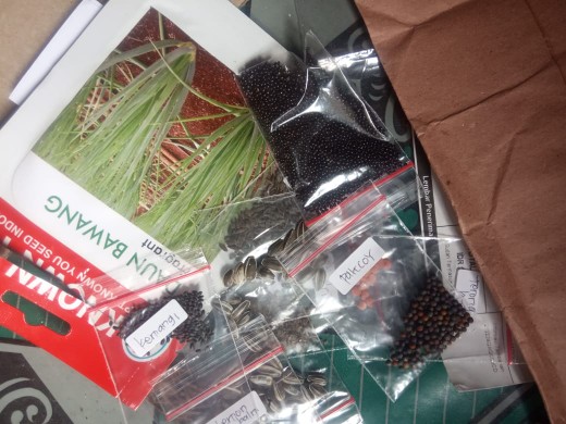 50 Benih Kemangi Repack