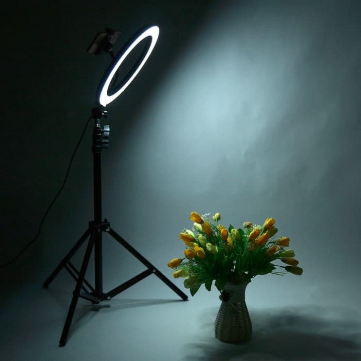 ZD666 - 10-inch Selfie Ring Fill Light 8W 120 LED with Tripod