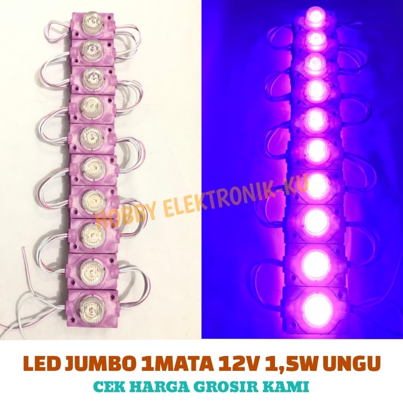 LAMPU LED JUMBO 1MATA 12V 1,5W UNGU