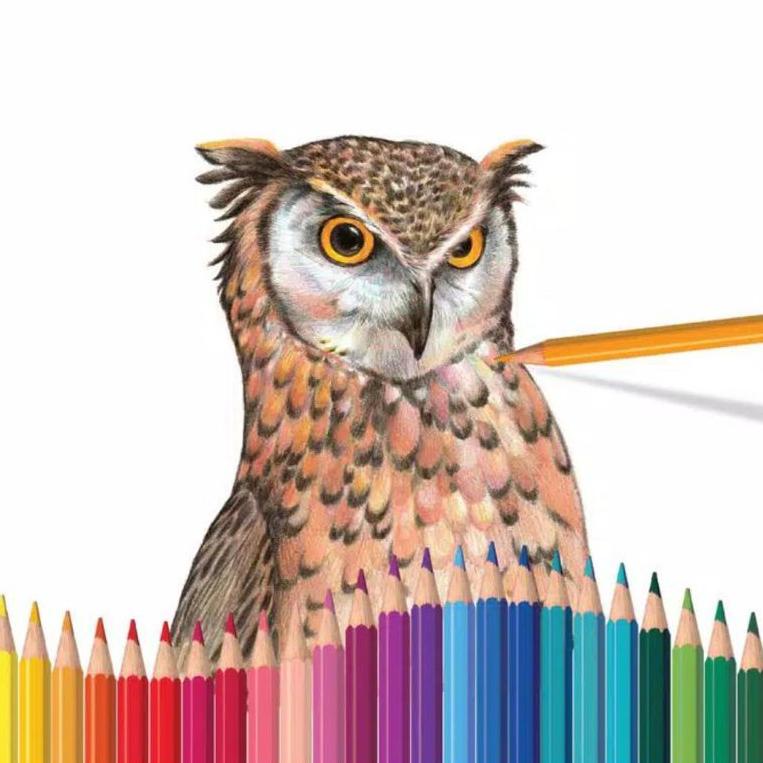 

[PRODUK W8SDN] pensil warna classic colour 48 faber castell RSG