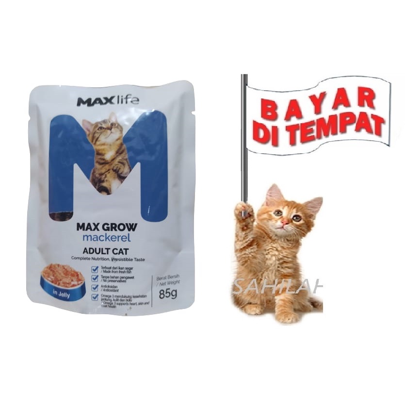 TERMURAH!! MAKANAN KUCING DEWASA ADULT BASAH MAX GROW MACKEREL SACHET