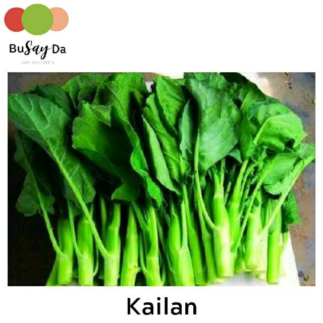 

Sayur Kailan 250 gram segar • Toko buah-buahan sayuran segar berkualitas BUSAYDA