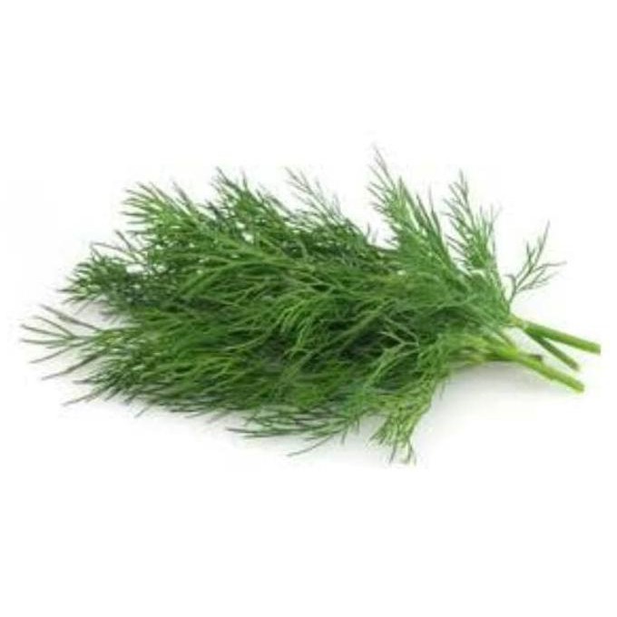 

3000 Daun Dill / Adas (fresh pack)