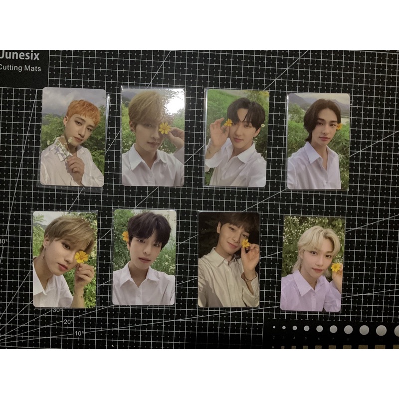 photocard official pob lim noeasy straykids