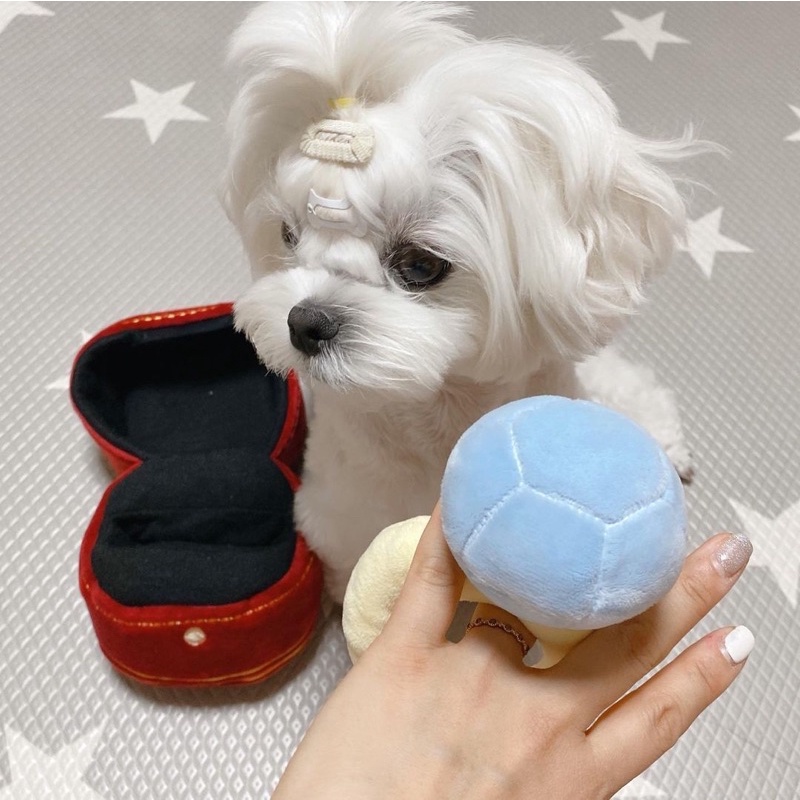 Korea ins classic prestige set diamond ring box hidden treats rustling and squeaky toy