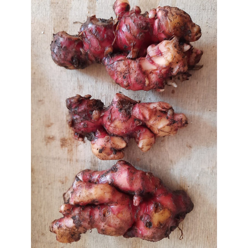 

JAHE MERAH BERSIH 1KG