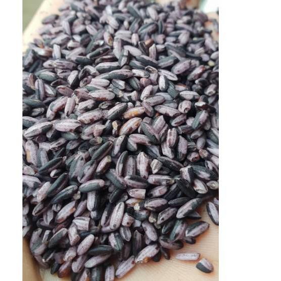 

Kekinian Ketan hitam sosoh TAPE kualitas Super 1 liter / 1 KG