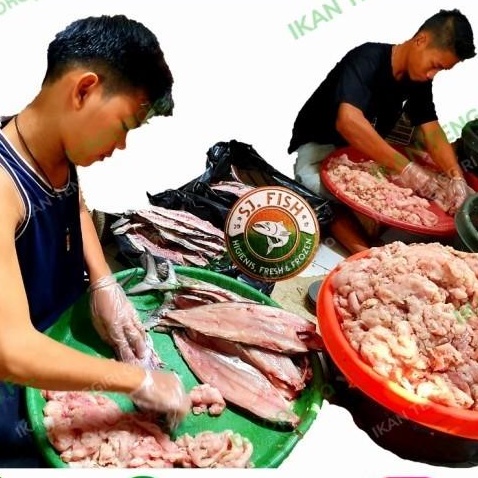 

Fisho | Ikan Tenggiri Giling Sj Fish Ready stock
