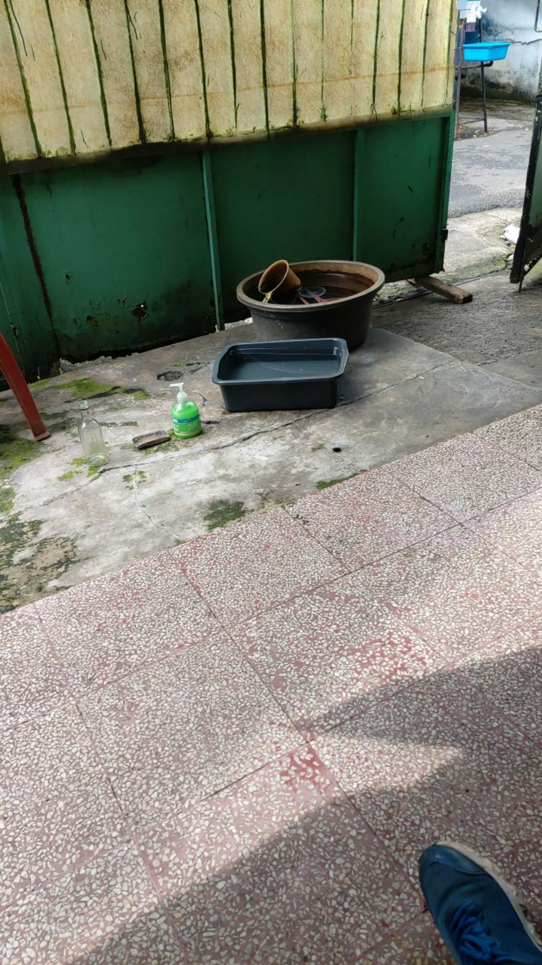 Almeera Pencuci Piring 800 Ml