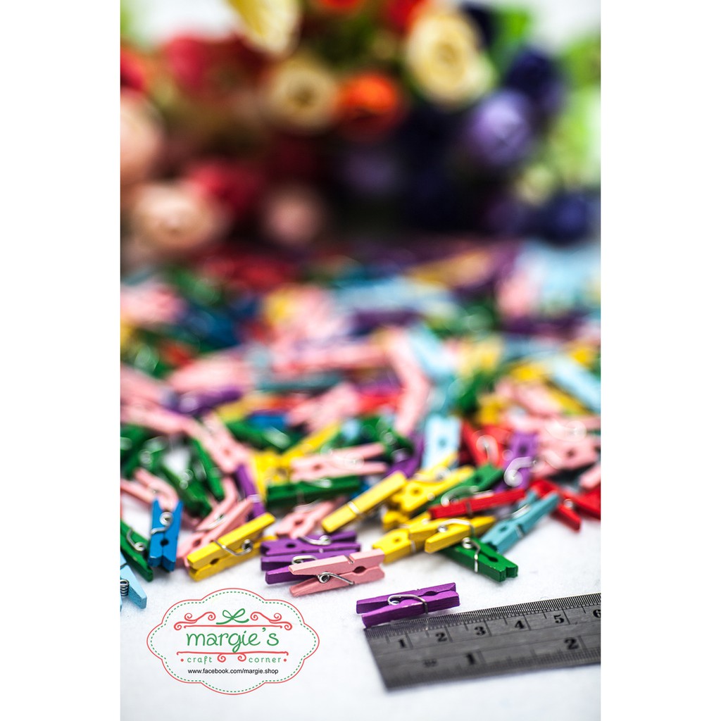 Jepitan kayu kecil warna