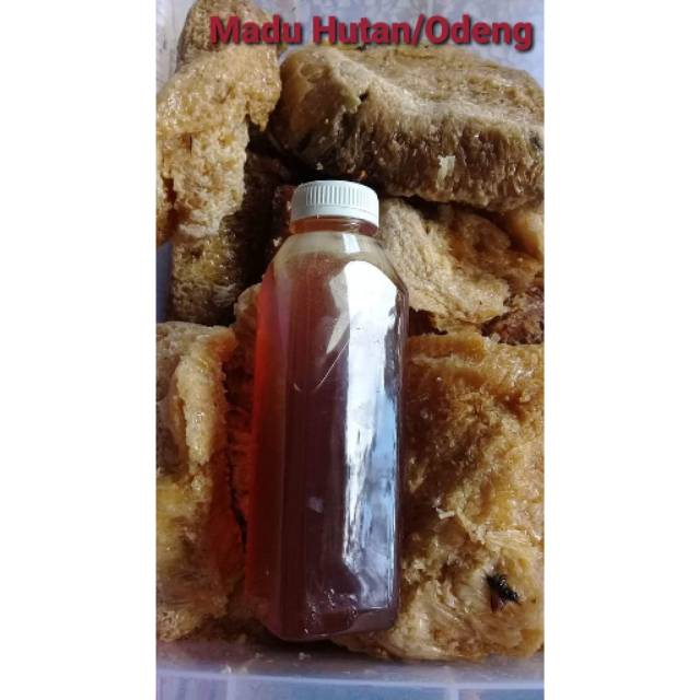 

Madu Hutan Asli 700gr