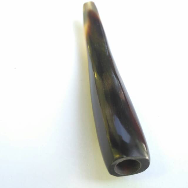 CANGKLONG TANDUK SAPI BULE KOMBINASI