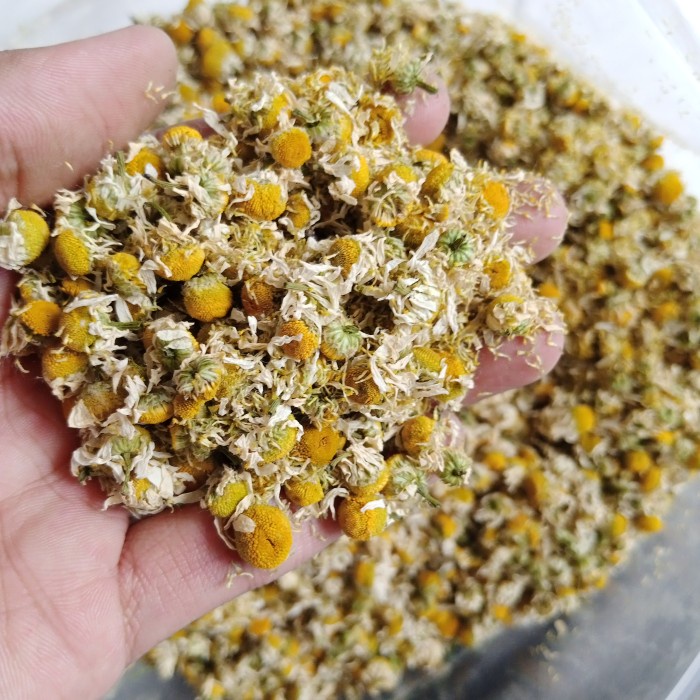 

B062D Super Premium Chamomile Flower Tea : Teh Bunga Chamomile (Grade Aaa) - 20 Gram 054S