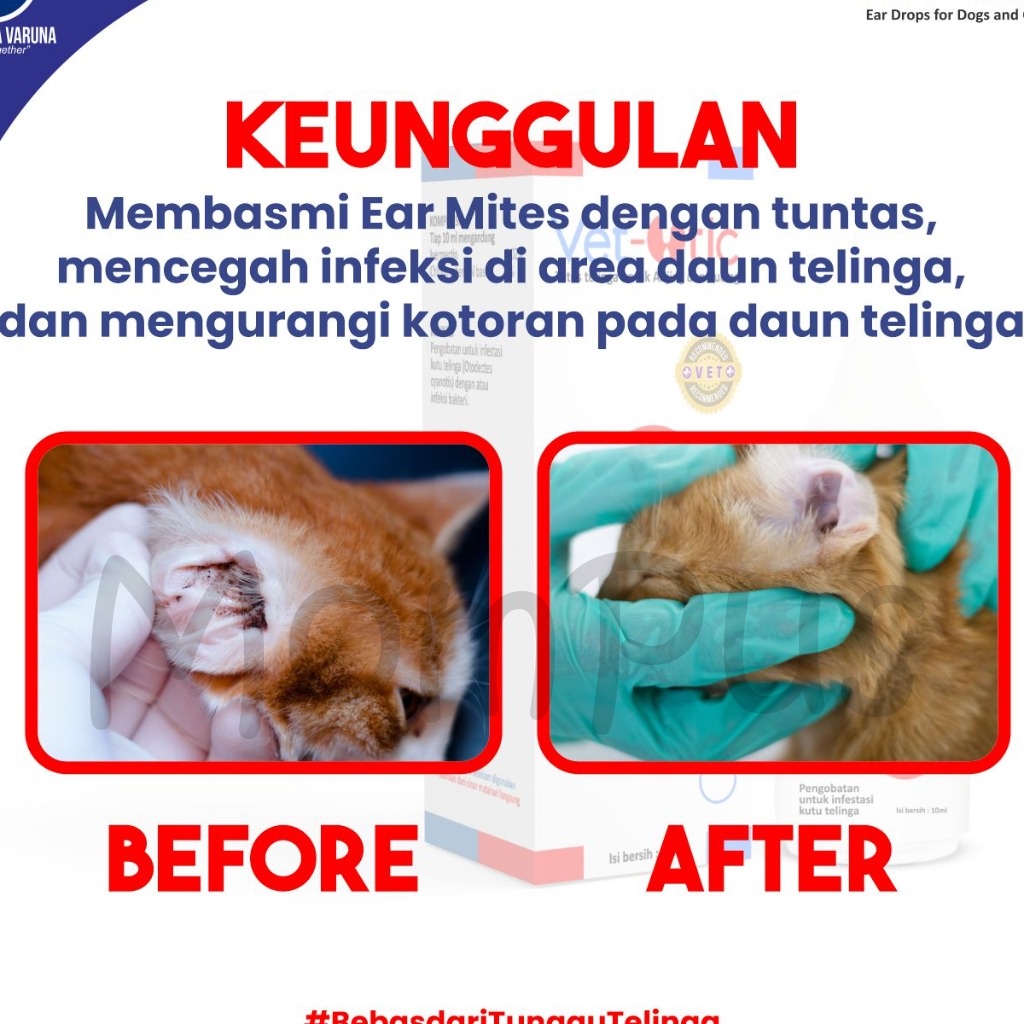 Vet Otic Obat Tetes Kutu Telinga KUCING 10mL