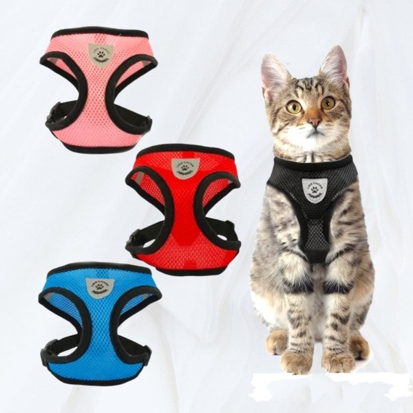 Tali Tuntun Rompi Kucing Anjing Kecil Size Medium Sedang Harness Vest