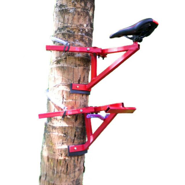 Panjatkit alat panjat pohon pokok kelapa pinus Panjatkit alat panjat pohon pokok kelapa pinus