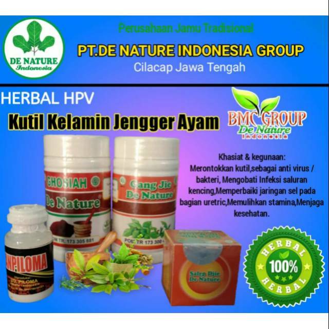 Obat Perontok Kutil Kelamin HPV , Jengger Ayam