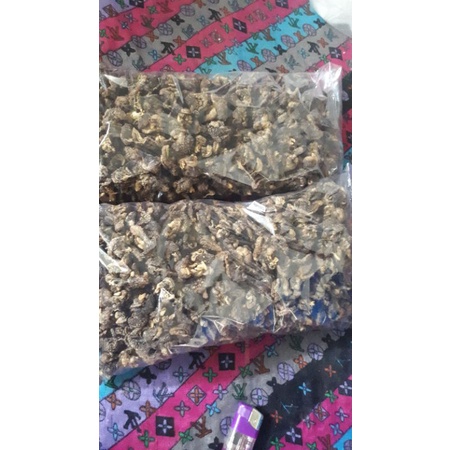 

kripik bekicot