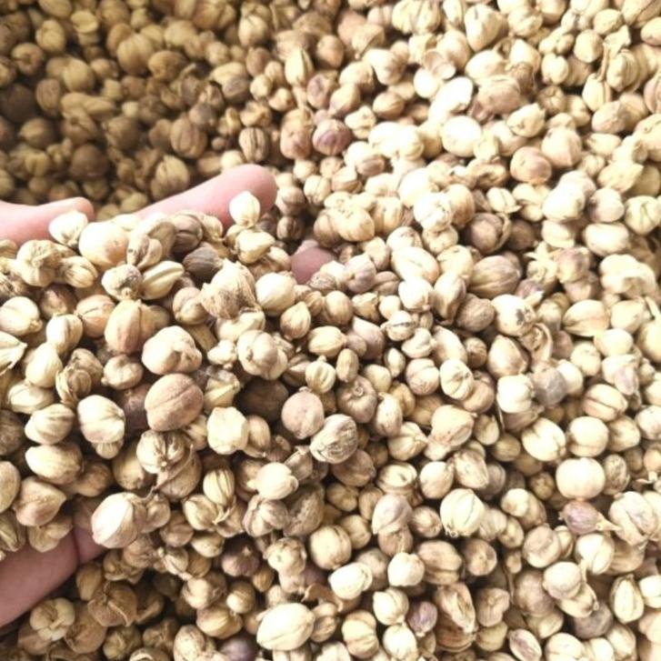 

✅Viral Banget❤ Kapulaga Jawa 100gr / Kapulaga Lokal / Cardamon termurah se indonesia
